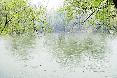 彩色圆形泡泡摄影照片_春雨滴在水面引起波纹