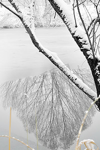 冰面图片摄影照片_雪后湖面的倒影