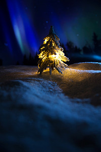下雪素材摄影照片_圣诞树