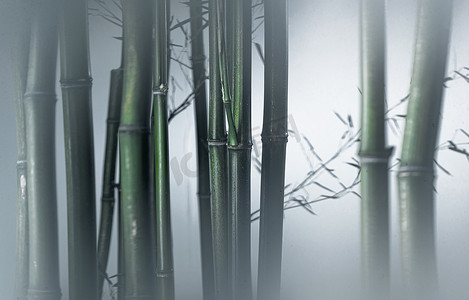 中国传统色摄影照片_雾色中的竹林