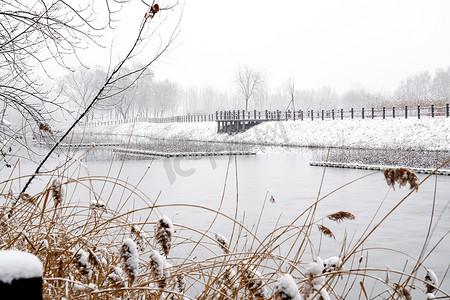 河岸图片摄影照片_下雪后的湖边风景