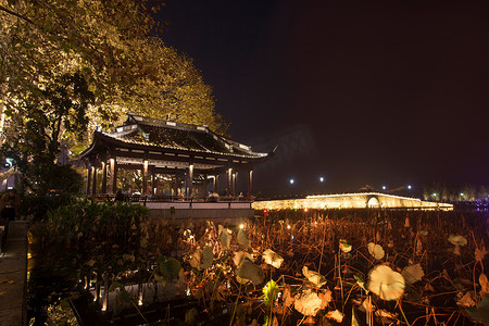 树林水面摄影照片_浙江省杭州西湖夜景