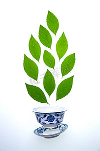 清新花纹图案摄影照片_绿色的茶叶和茶杯