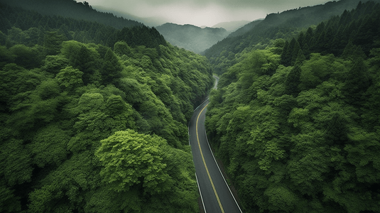 俯瞰公路摄影照片_乡村间的笔直小道