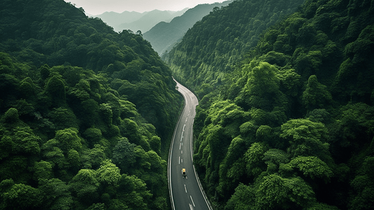 乡村间的笔直小道