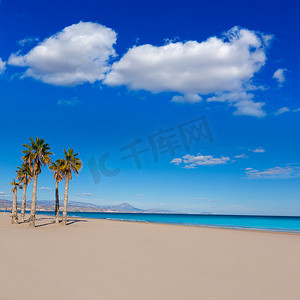 胡安摄影照片_有地中海棕榈树的阿利坎特圣胡安海滩