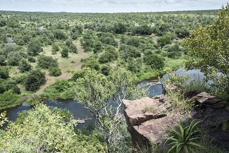 南非克鲁格国家公园的野生动物园