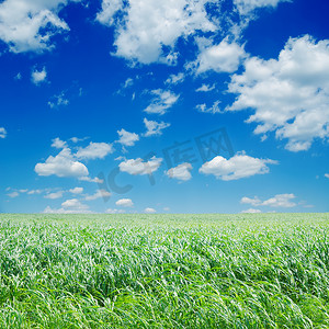 深蓝色天空与云朵下的绿色苏丹草原