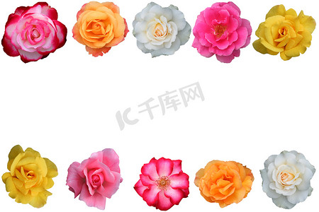 粉色玫瑰花瓣摄影照片_美丽玫瑰花瓣的拼贴画