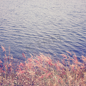 具有复古过滤效果的湖上彩色草地