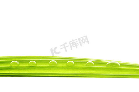 绿背景摄影照片_绿草上的水滴