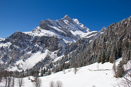 阿尔卑斯山之冬