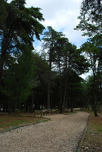 里斯本孟山都公园的景观