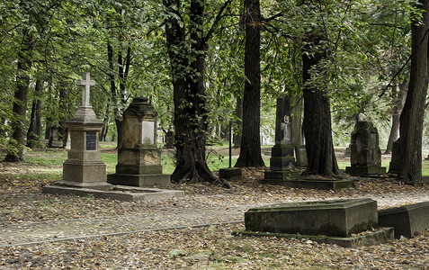 秋天的墓地。