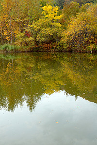 秋天的森林和湖泊风光。