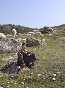 流浪者摄影照片_游牧牧羊人
