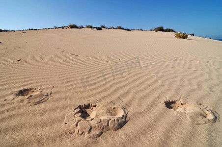 印迹摄影照片_沙漠中的足迹