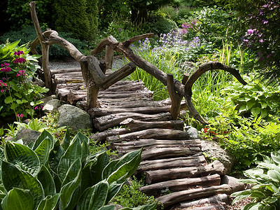 美好的庭院风景木脚桥