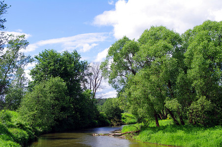 风景画背景摄影照片_夏日河畔风景