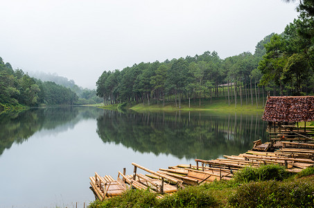竹景观摄影照片_木筏竹湖和松林在早晨