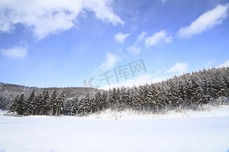 东北冬天摄影照片_雪原和蓝天