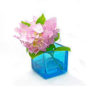 鲁绣摄影照片_蓝色玻璃中的粉红色绣球花。