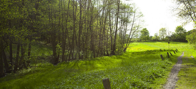 绿山摄影照片_绿草森林中的大空地