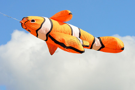 大橙色金鱼风筝