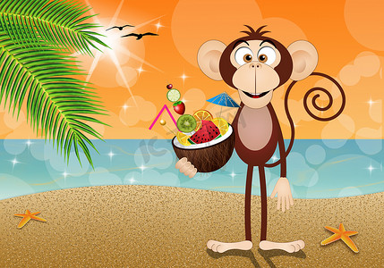 椰子在海滩上的猴子