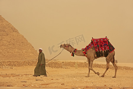 胡夫金字塔摄影照片_贝都因人骑着骆驼在开罗吉萨金字塔附近散步