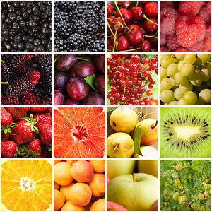 各种水果浆果