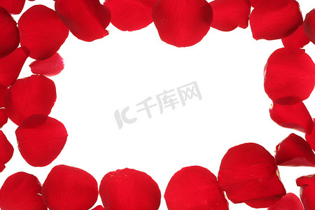 红色玫瑰花瓣边框，白色复制空间