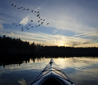 日落时的皮划艇和鹅