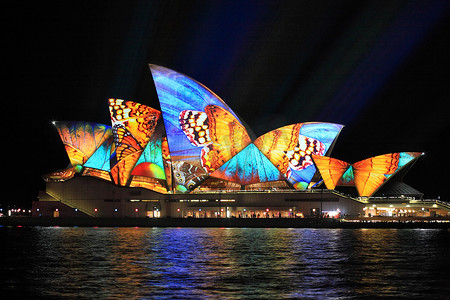 绚烂悉尼悉尼歌剧院多彩蝴蝶翅影像