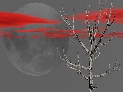 死树和月亮