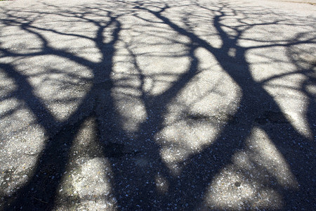 乡村资源摄影照片_人行道上的树影