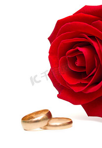 结婚金色摄影照片_婚戒与玫瑰
