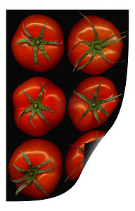 西红柿卷曲变形