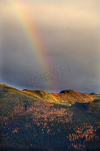 蒙大拿金彩虹黄色落叶松山丘秋天的颜色米苏拉
