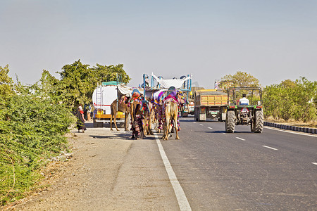 骆驼火车拖拉机和卡车印度