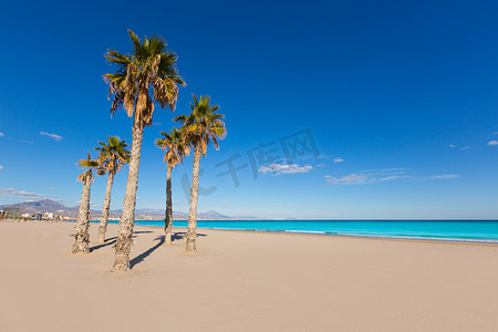 有地中海棕榈树的阿利坎特圣胡安海滩