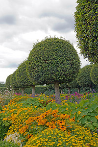 规则式花园、鲜花和黄杨树切割（法国）