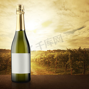 背景为葡萄园的白葡萄酒瓶