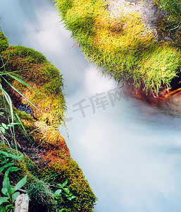 发光苔藓摄影照片_小森林溪流奔流着生满苔藓的森林地面