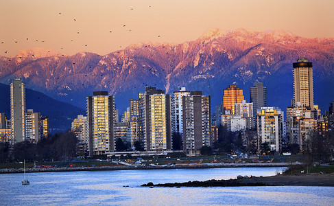 雪山日落摄影照片_温哥华天际线海港 English Bay Birds Snow Mountains 日落