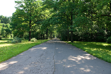 公园内的道路