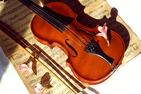 老小提琴、小提琴棍子和乐谱