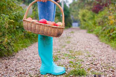 种植水果摄影照片_年轻女孩手拿黄色红色苹果篮子并穿着橡胶靴的特写照片