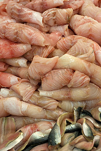 鲈鱼菜摄影照片_鲈鱼和沙丁鱼
