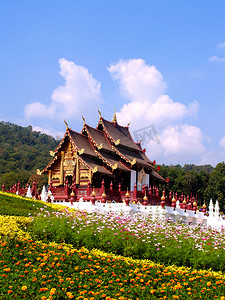 清迈摄影照片_泰国皇家植物博览会